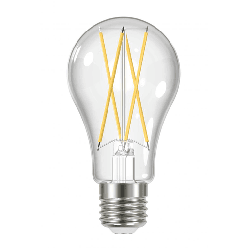 Filament Bulbs